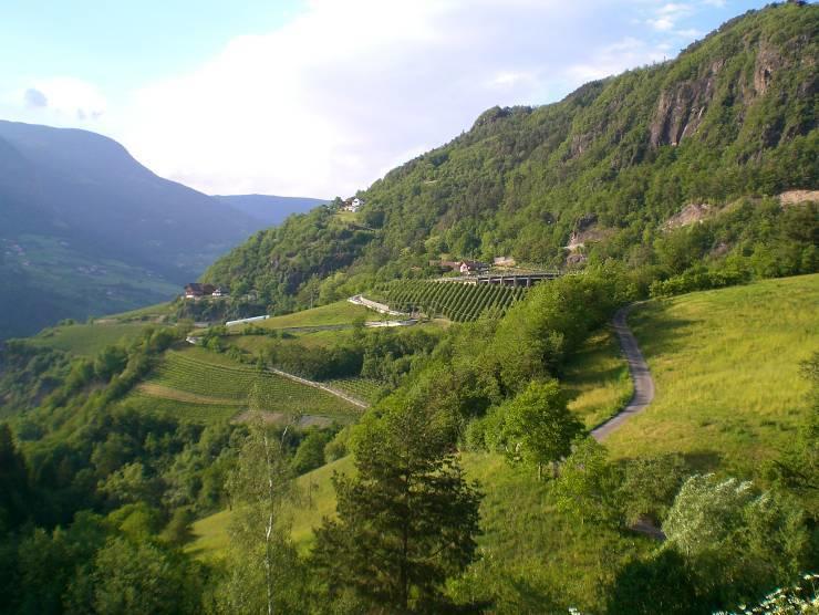 Schiedhof Βίλα Castelrotto Εξωτερικό φωτογραφία