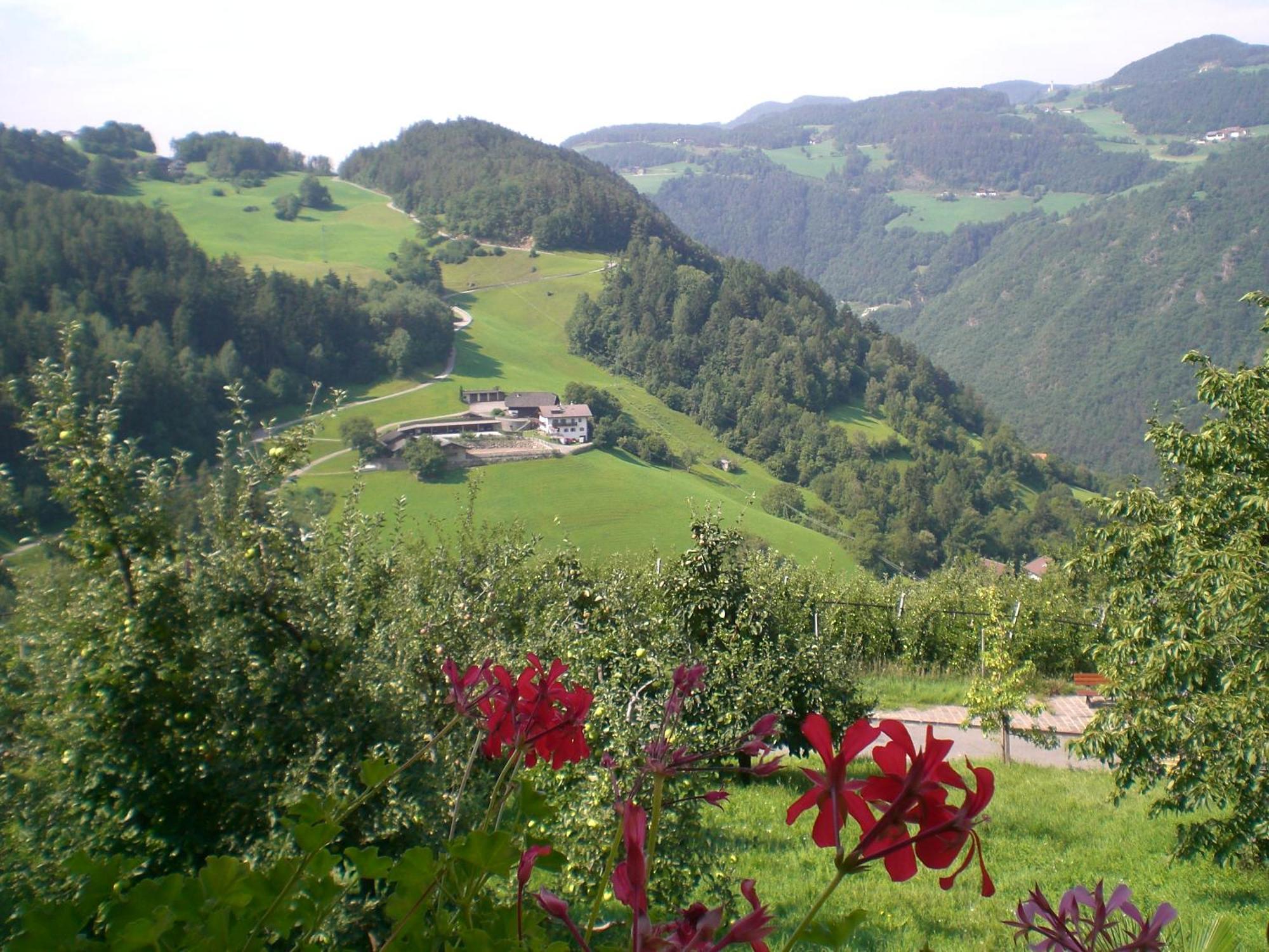 Schiedhof Βίλα Castelrotto Εξωτερικό φωτογραφία